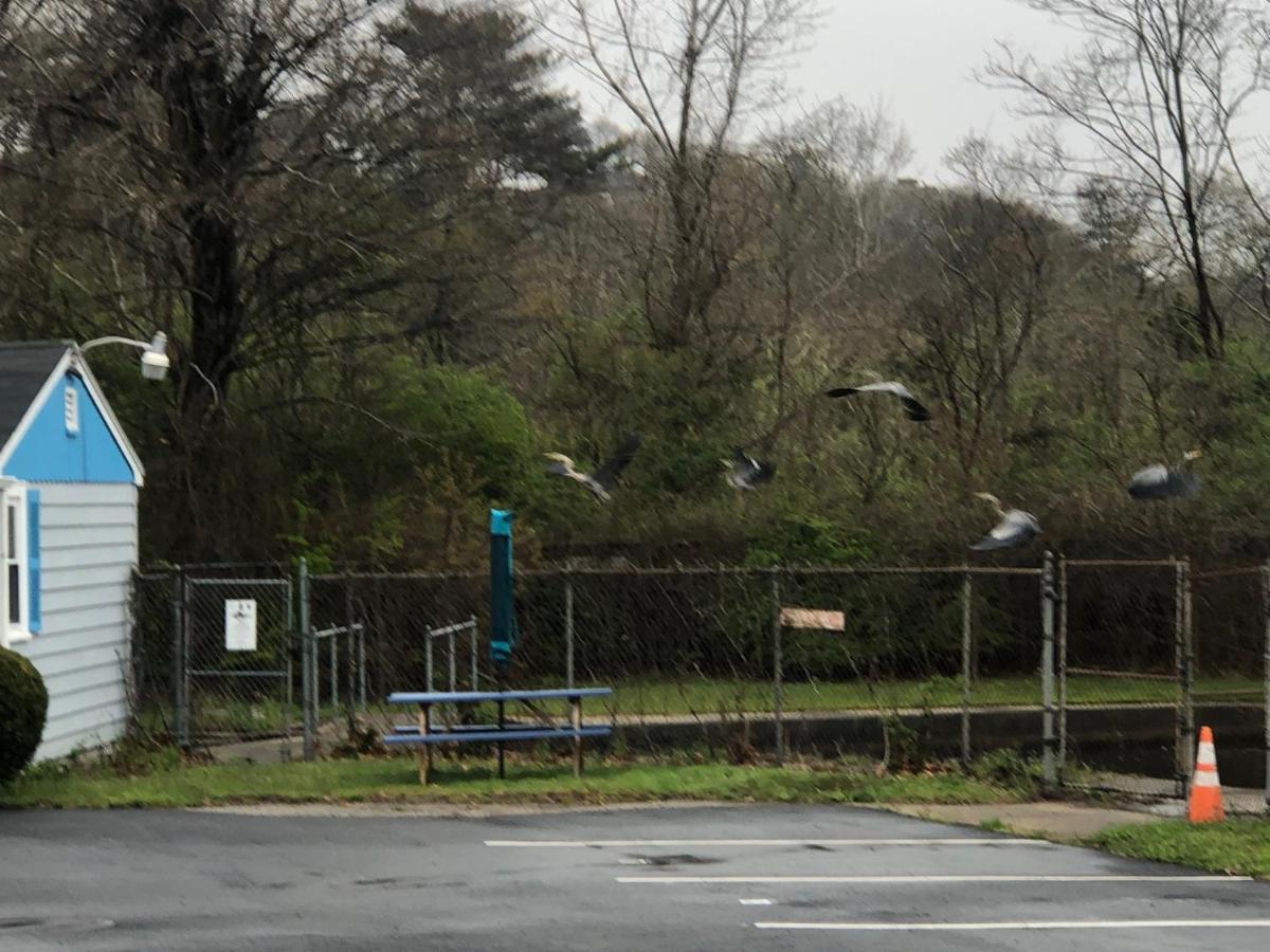 Herring Run Bourne Exterior photo