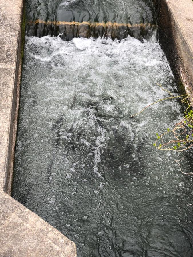 Herring Run Bourne Exterior photo